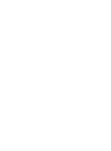 STARDUST logo